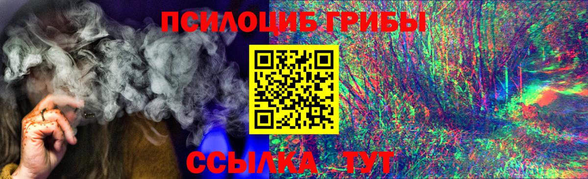 купить наркоту  Вход с VPN  Сланцы  Псилоцибиновые грибы мицелий  Галлюциногенные грибы мицелий 